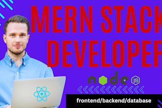do custom web application as full stack website development mern stack developer