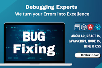 fix your website issues quickly javascript, angularjs, wordpress, react, CSS