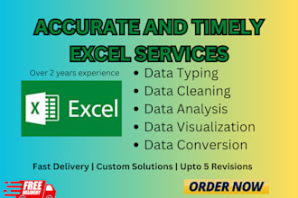 provide expert data cleaning and analysis with microsoft excel