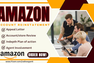 write amazon account appeal letter,section 3 suspended account reinstatement