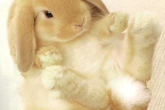 produce custom exclusive pieces of experimental gems