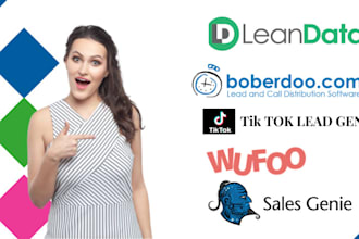 customize learn data boberdoo sales genie wufoo tik tok lead gen