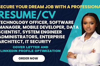 write developer, data scientist, IT security, system engineer, manager resume cv