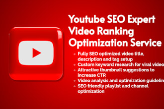 youtube SEO expert video ranking  optimization service