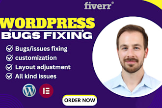 do wordpress bug fix, error, issues,wordpress checkout error and malware removal
