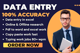 fast data entry work in excel,copy paste,convert pdf to word, microsoft excel