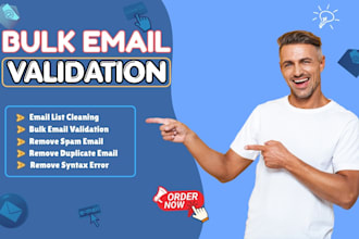 do bulk email validation and clean your email list professionally