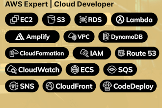 be your AWS expert, cloud developer, devops engineer