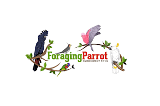 create a winning parrot toy range logo design