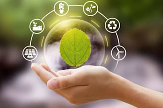 provide expert opinion on carbon accounting, reporting and carbon markets