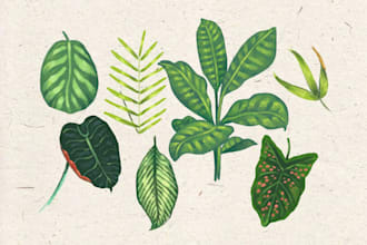 create botanical illustration of flowers, plants, and fruits