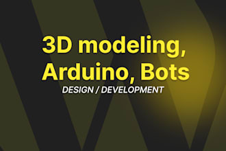 develop and manage discord bots, create 3d models