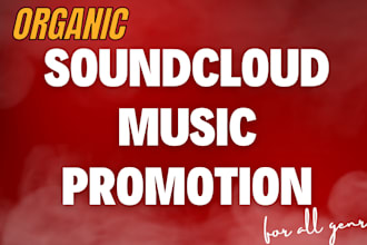 create and run ads to do soundcloud promotion of your song