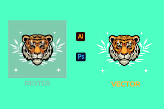 vectorize, redesign, and redraw your logo or image with precision
