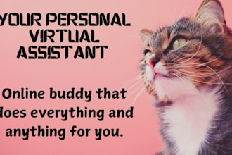 be personal assistant for data collection, technical support, remote support