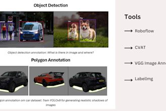 do image annotation, data labeling, segmentation and bounding box for ai