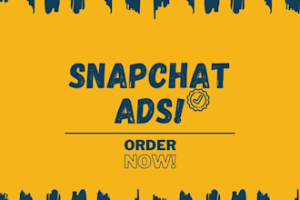 manage snapchat ads, tiktok video ads, and facebook ads manager