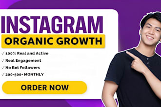 grow your instagram with organic promotion