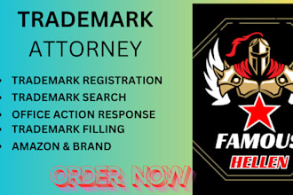 be intellectual property, trademark, patent and copyright infringement lawyer
