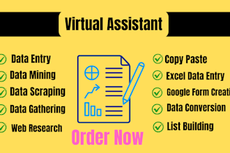professional data clean, format, conversion