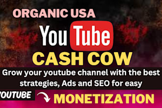 do youtube promotion to target audience to boost views