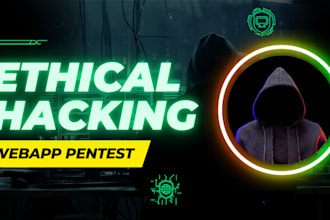 conduct website application penetration testing