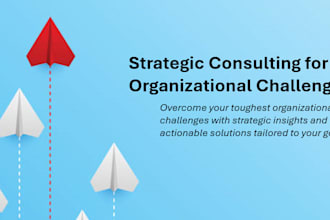 strategic consulting for organizational and leadership challenges