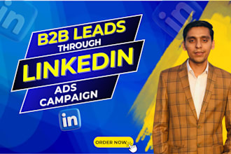 be linkedin paid ads expert for b2b leads