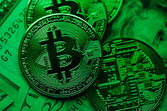 advise you on how to integrate bitcoin payments in your business
