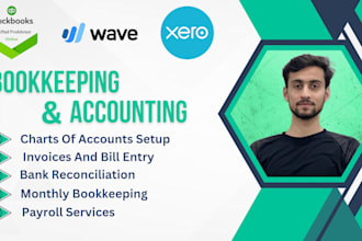 do setup clean up bookkeeping and accounting in quickbooks, xero, and wave