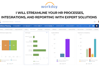 offer workday consulting for hcm, reporting, integration and financials