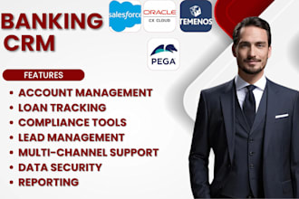 setup banking crm salesforce oracle cx crmnext  temenos infinity pega CRM