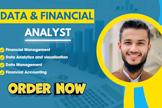 be your data analyst and will do financial management and accounting