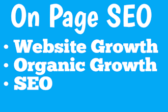 do professional on page SEO expert