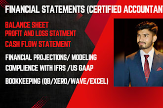 do accounting and finance assignment, financial statement analysis, excel report