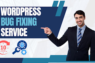 troubleshooting, bug, error, issue or maintenance your wordpress website