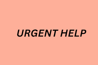 assist on project management, economics, business, accounting and finance