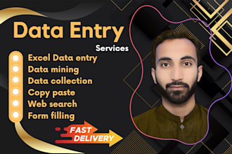 be your data analyst for excel, google sheets, and power bi