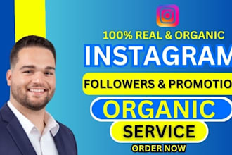 do facebook instagram reels organic promotion for views