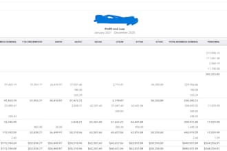 be your professional bookkeeper and accountant