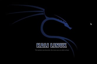 fix security vulnerabilities like sql injection, ddos attack, xss dns kali linux