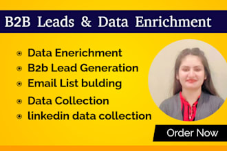 provide data enrichment and targeted b2b lead generation