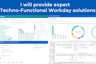 provide expert workday support daily tasks assistance and training for beginners