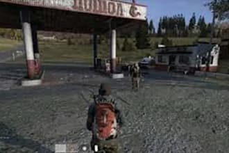 create dayz server with mods and scripts for you and redm server