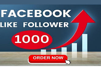real 2000 organic facebook followers guaranteed