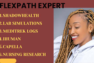 do ihuman, shadow health and soap note, care plan
