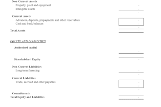 do bookkeeping, tax filing, financial reports, receivable and payable