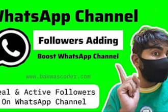boost whatsapp ads, whatsapp promotion, whatsapp channel to get real followers