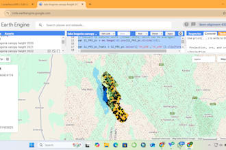 do forest canopy height
