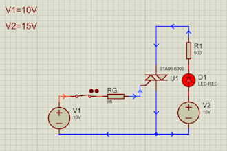 electronic engineer, programmer and circuit designer